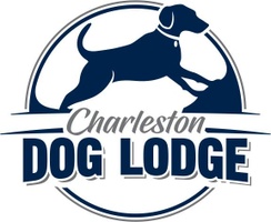 Doggie lodge hot sale